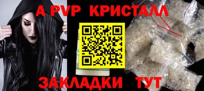 стаф Славгород