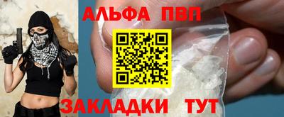 стаф Славгород