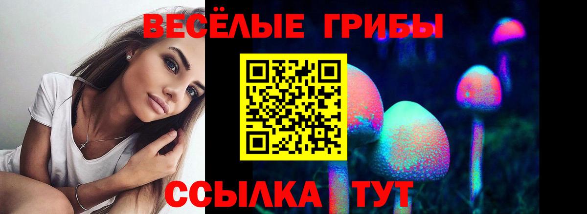 Псилоцибиновые грибы мицелий  Галлюциногенные грибы мухоморы  Благодарный  Вход с VPN 